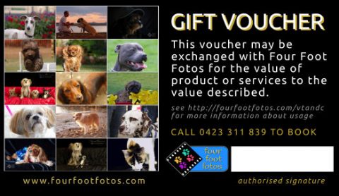 Four Foot Fotos Gift Voucher - customer portion