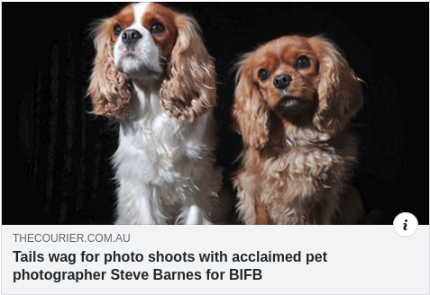 Tails wag for photo shoots with acclaimed pet photographer Steve Barnes for BIFB